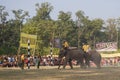 Elephants polo game, at Thakurdwara, Bardia, Nepal