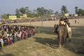 Elephants polo game, at Thakurdwara, Bardia, Nepal