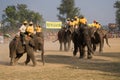 Elephants polo players during elephants polo, Nepal Royalty Free Stock Photo