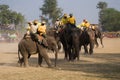 Elephants polo players during elephants polo, Nepal Royalty Free Stock Photo