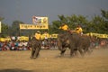 Elephants polo players on their elephants during elephants polo, Nepal Royalty Free Stock Photo