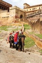 Elephants raising tourists to the entrance to Amber Fort. Jaipur, India