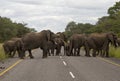 Elephants on the road Royalty Free Stock Photo