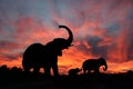 Elephants in a Serengety Sunset