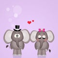 Elephants spouses