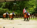 Elephants and Thai warriors performing a show