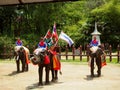 Elephants and Thai warriors performing a show