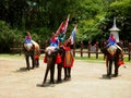 Elephants and Thai warriors performing a show