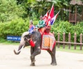 Elephants and Thai warriors show in thailand