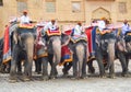 Elephants that transport to Amber Fort