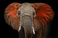 Elephants of Tsavo Royalty Free Stock Photo