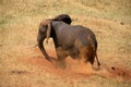 Elephants in Tsavo East Park Royalty Free Stock Photo