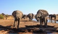 Elephants visit a camp waterhole, with a lodge visable in the background. Nehimba, Zimbabwe