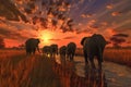 elephants walking in line with sun setting behind them Royalty Free Stock Photo