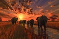 elephants walking in line with sun setting behind them