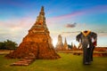 Elephants at Wat Chaiwatthanaram temple in Ayuthaya Historical Park, a UNESCO world heritage site, Thailand Royalty Free Stock Photo