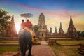 Elephants at Wat Chaiwatthanaram temple in Ayuthaya Historical Park, a UNESCO world heritage site, Thailand Royalty Free Stock Photo