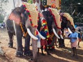 Elephants wearing nettipattam featured at Kallazhi temple festival