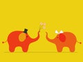 Elephants' wedding