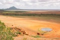 Elephants in the wild at Tsavo East National Park in Kenya Royalty Free Stock Photo