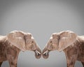 Elephnat couple against gray background