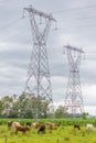 Eletric tower with cows and platns in a farm