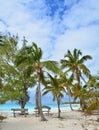 Eleuthera Bahamas beach Royalty Free Stock Photo