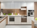 Elevate Your Cooking Experience: Inspiring Images of Technology Kitchen in Condominiums