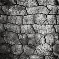 Black and white close-up of a brick wall texture background with copy space for design, AI generated Royalty Free Stock Photo