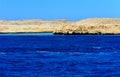 Elevated above sea level, beautiful coral reefs the form mountains and rocks against the blue sky and clear sea water coast of the Royalty Free Stock Photo