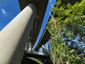 Elevated bridge of a motorway