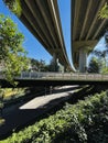 Elevated bridge of a motorway