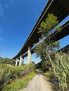 Elevated bridge of a motorway