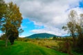 Elevated grass footpath on the banks of Tongariro river Royalty Free Stock Photo