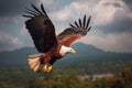 Elevated majesty, Fish Eagle reigns supreme amidst the celestial clouds