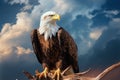 Elevated majesty, Fish Eagle reigns supreme amidst the celestial clouds