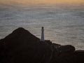 Panorama view of seaside Castle Point Lighthouse on steep cliff hill, Tasman Sea Pacific Ocean Wellington New Zealand Royalty Free Stock Photo