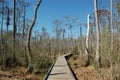 Elevated path at Fairview-Riverside State Park Royalty Free Stock Photo