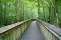 Elevated path over a swamp at Tickfaw State Park Royalty Free Stock Photo