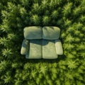 Elevated Tranquility: Aerial View of Sofa Amidst Hemp Symphony