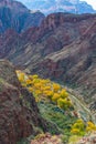 Elevated View of the Cabins and Golden Cottonwood Trees at Phantom Ranch Royalty Free Stock Photo