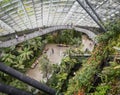 Elevated view of Cloud Forest, Singapore