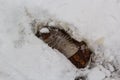 Elevated view of footprint on snow covered ground Royalty Free Stock Photo