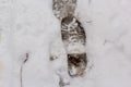 Elevated view of footprint on snow covered ground Royalty Free Stock Photo