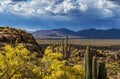 Elevated View Of North Scottsdale, Arizona in the Spring