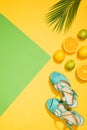 elevated view of palm leaf, stylish female blue platform sandals, lemons, limes and slices