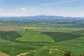 Elevated View of Palouse Fields in June Royalty Free Stock Photo