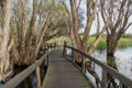 Elevated Walkway at Herdsman Lake Royalty Free Stock Photo