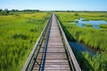 elevated wooden bike path in green marshland