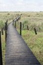 Elevated wooden path over a grassland Royalty Free Stock Photo